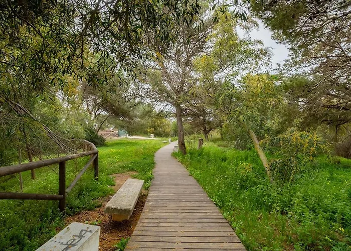 Casa Rosado Beautiful House And 60 M Of Private Garden